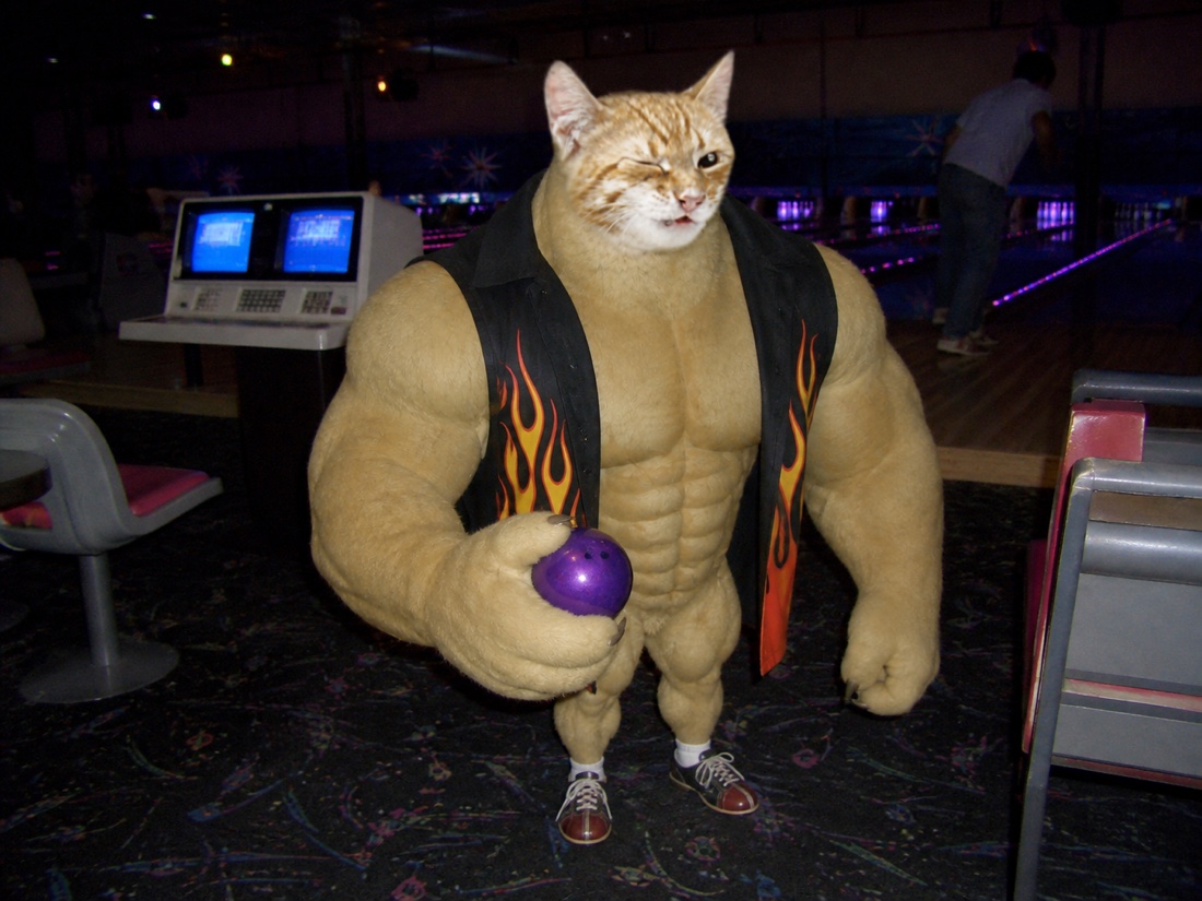 Swole Cat holding a tiny purple bowling ball at a cosmic bowling alley