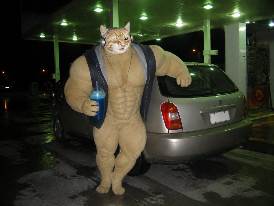 Swole Cat holding a blue frozen drink beside a silver hatchback at a gas station at night