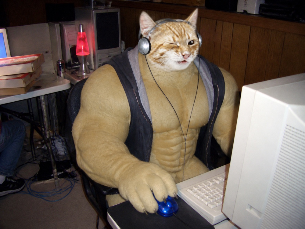 Swole Cat intensely using a beige desktop computer at a 2007 basement LAN party