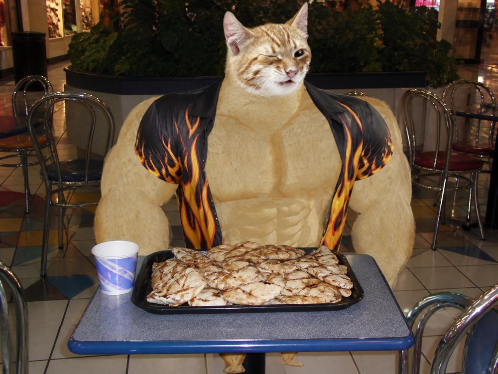 Swole Cat sitting at a mall food court with an enormous tray of grilled chicken