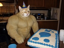 Swole Cat sitting behind a birthday cake in a warmly lit early-2000s kitchen