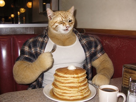 Swole Cat sitting in a red diner booth behind a towering stack of pancakes