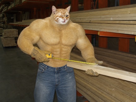 Swole Cat wearing work gloves and measuring lumber in a hardware store aisle