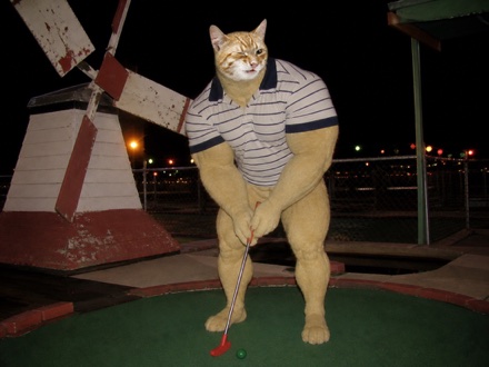 Swole Cat lining up a shot with a tiny red putter at a miniature golf course at night