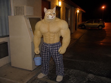 Swole Cat in plaid pajama pants carrying a tiny ice bucket beside a roadside motel ice machine at night