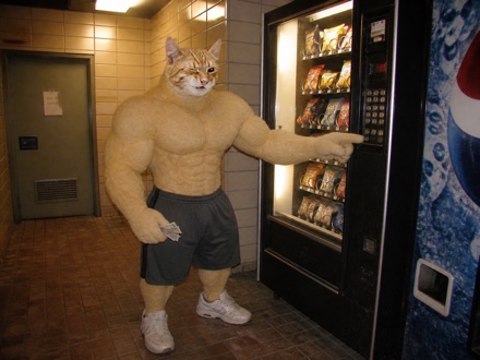 Swole Cat using a snack vending machine in a beige-tiled hallway late at night