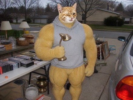 Swole Cat proudly holding a tiny brass desk lamp at a suburban driveway yard sale