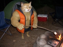 Swole Cat wearing an orange puffy vest while roasting a marshmallow beside a small tent