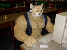 Swole Cat wearing headphones while using a beige desktop computer in a public library