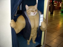 Swole Cat emerging from a shopping mall photo booth holding a fresh photo strip