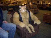 Swole Cat wearing headphones while testing a tiny brown recliner in a furniture showroom