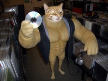 Swole Cat holding up a compact disc while browsing a crowded neighborhood record store