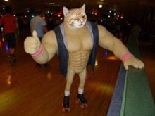 Swole Cat wearing tiny roller skates and giving a thumbs-up at a colorful roller rink