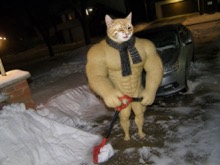 Swole Cat wearing a knit scarf while shoveling a snowy suburban driveway at night