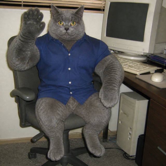 Tom, reliable spotter
