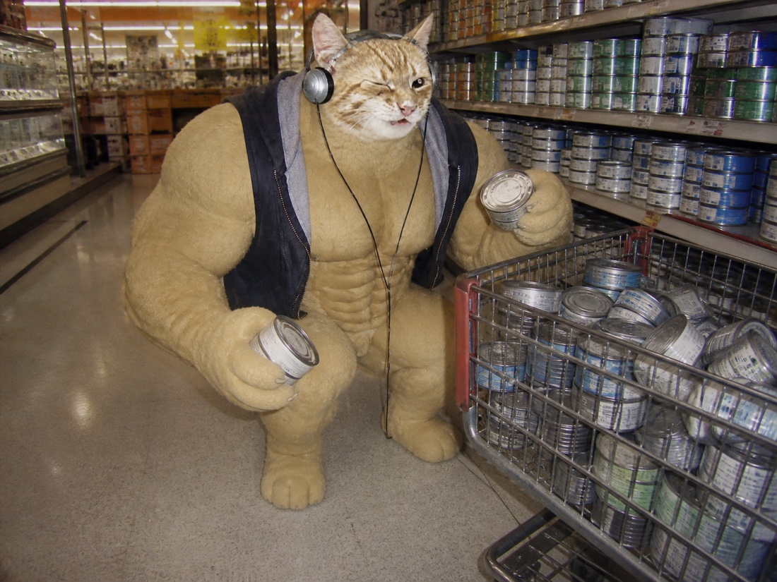 Swole Cat shopping for canned tuna with an overflowing cart in a supermarket aisle